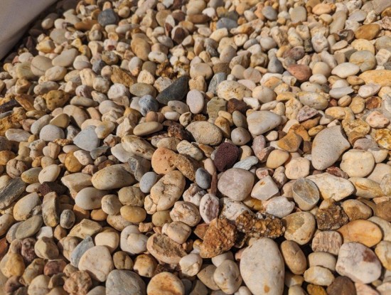 Apricot Chippings 