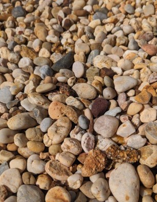 Apricot Chippings 