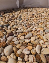 Apricot Chippings 